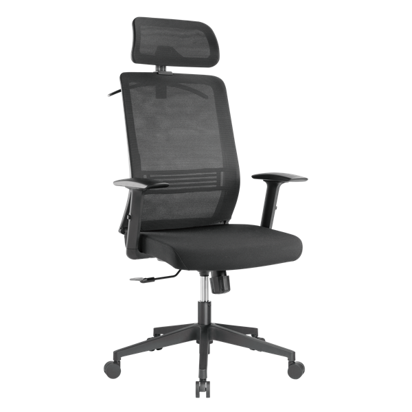 BRATECK Office Chair with Headrest. Ergonomic & Breathable Mesh Back. Pneumatic Seat-Height Adjustment. Adjustable Tilt-back, Lumbar Cushion, & Headrest. PU Hooded Casters. Black Colour.